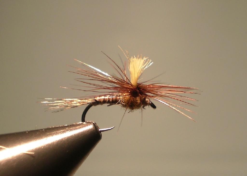 Montage de mouche