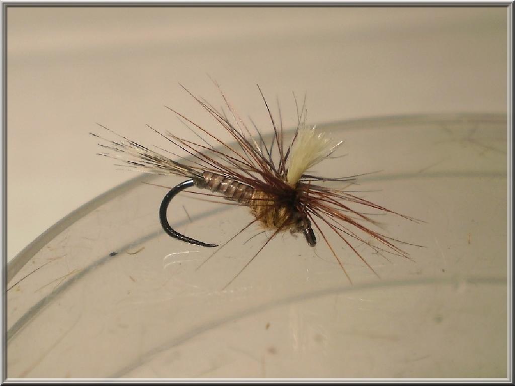 Montage de mouche