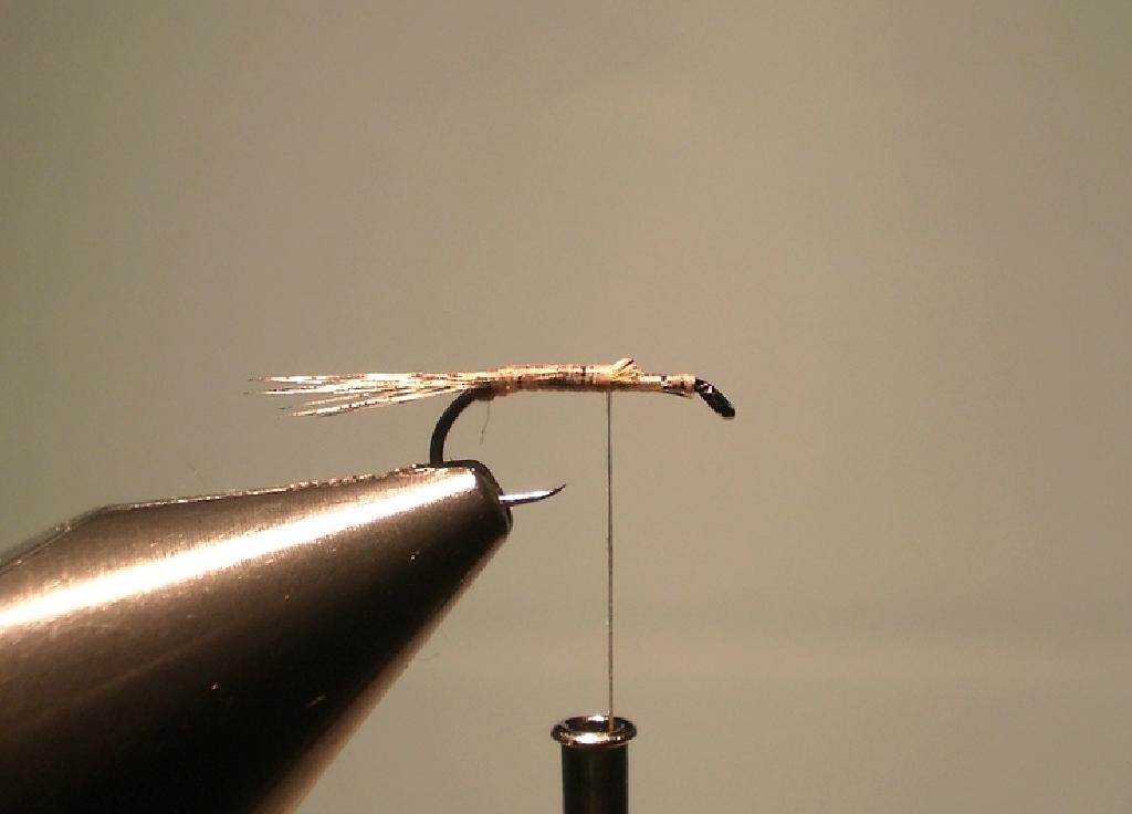 Montage de mouche