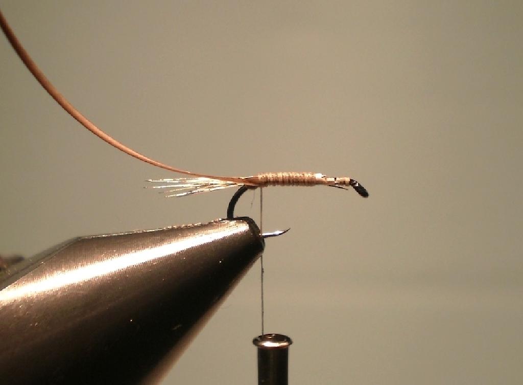 Montage de mouche
