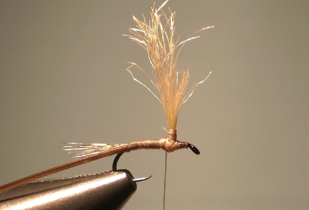 Montage de mouche