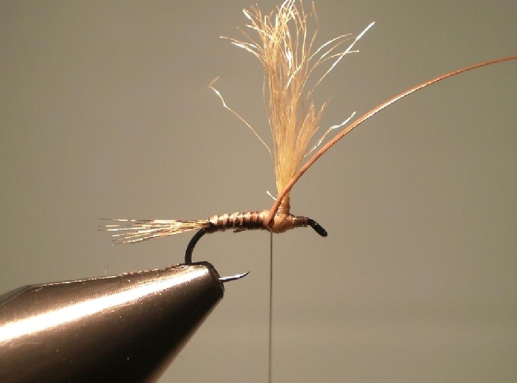 Montage de mouche