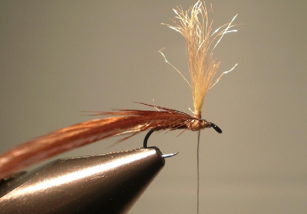 Montage de mouche