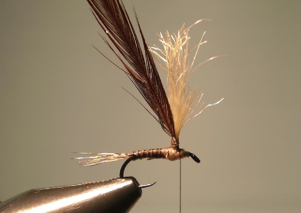Montage de mouche
