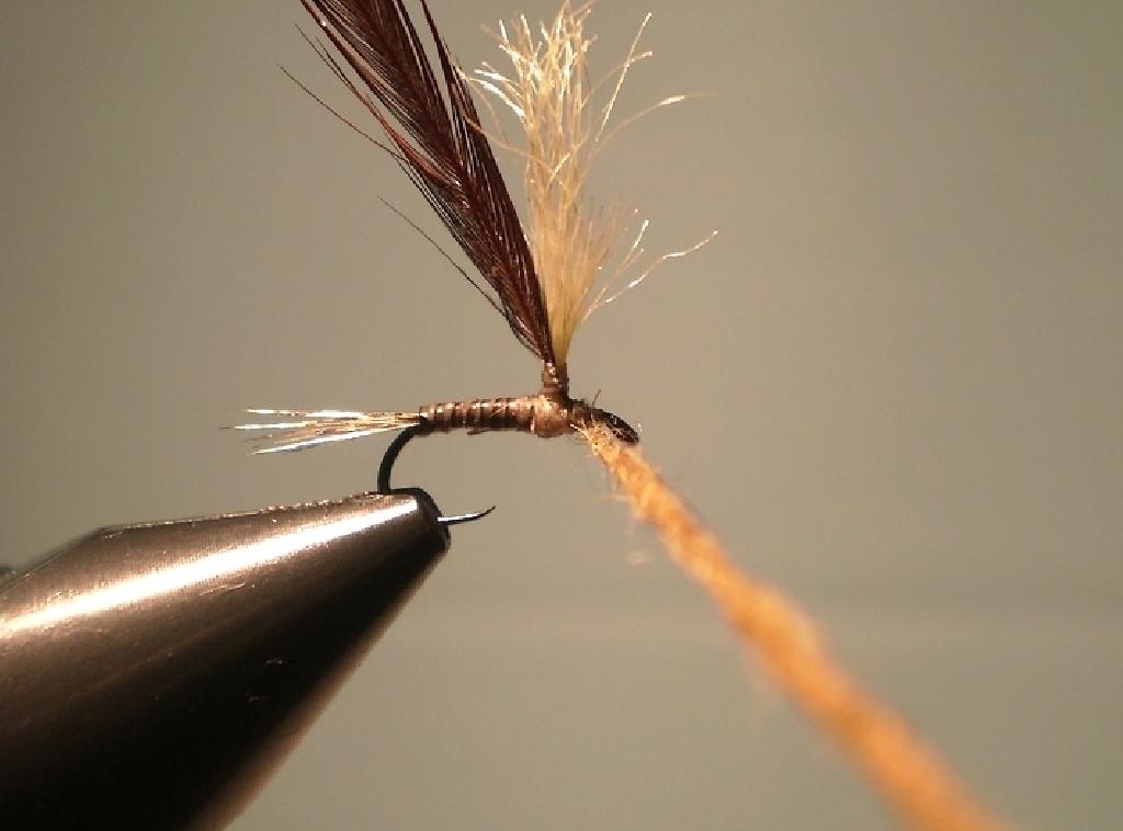 Montage de mouche