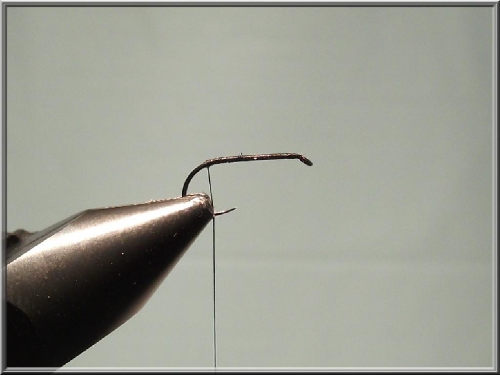 Montage de mouche