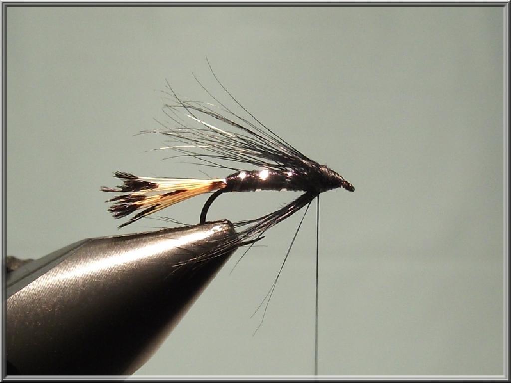 Montage de mouche