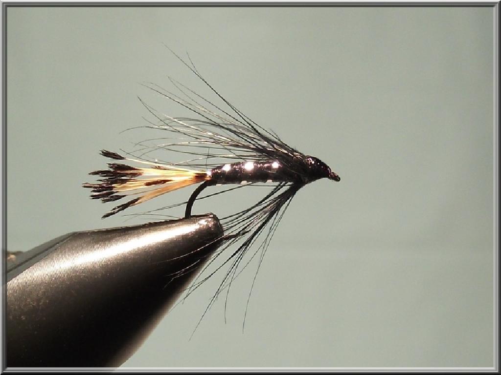 Montage de mouche