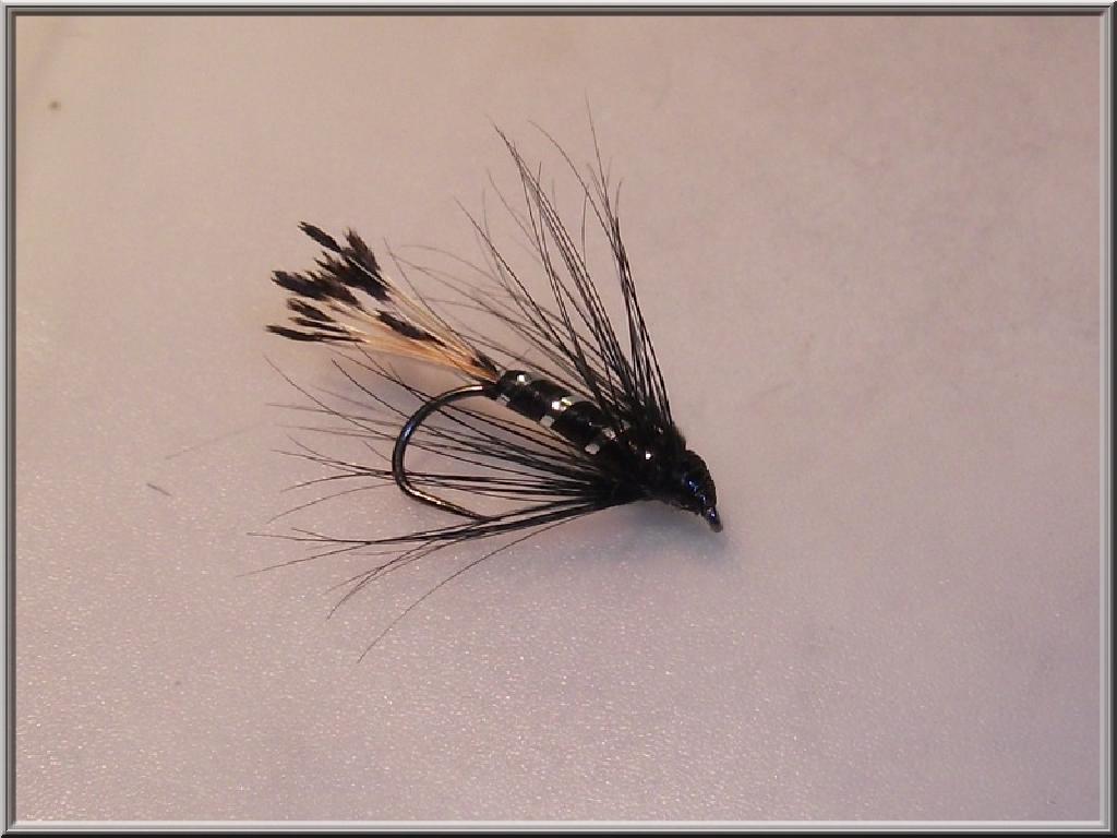 Montage de mouche