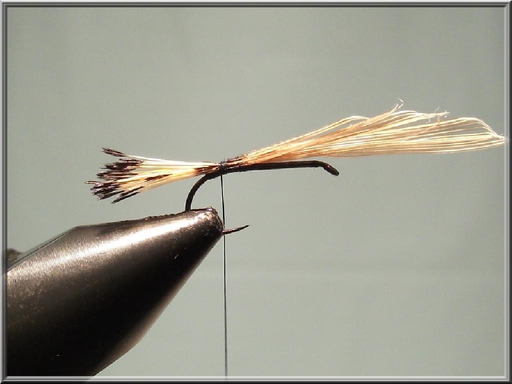 Montage de mouche