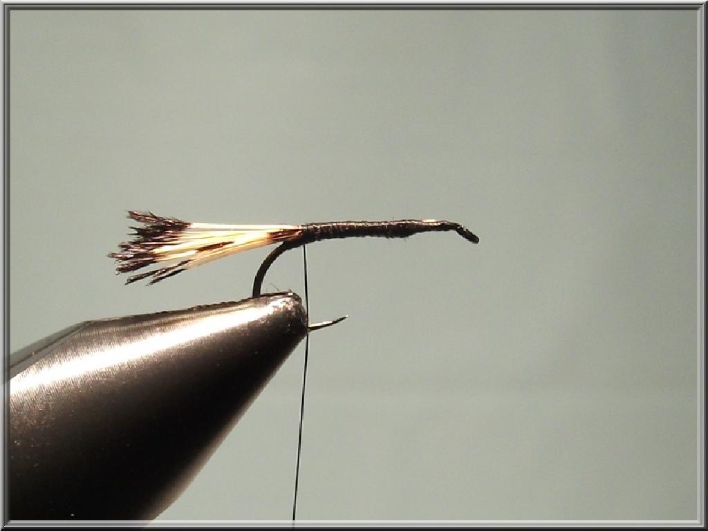 Montage de mouche