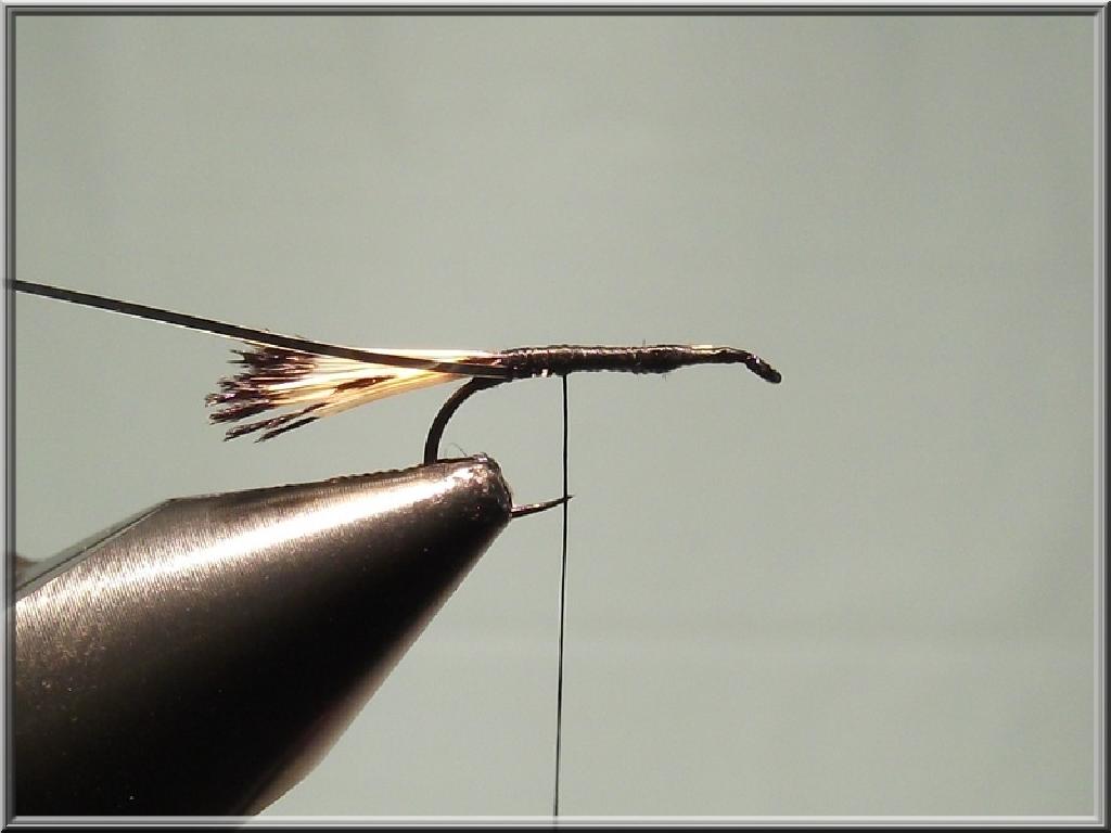 Montage de mouche