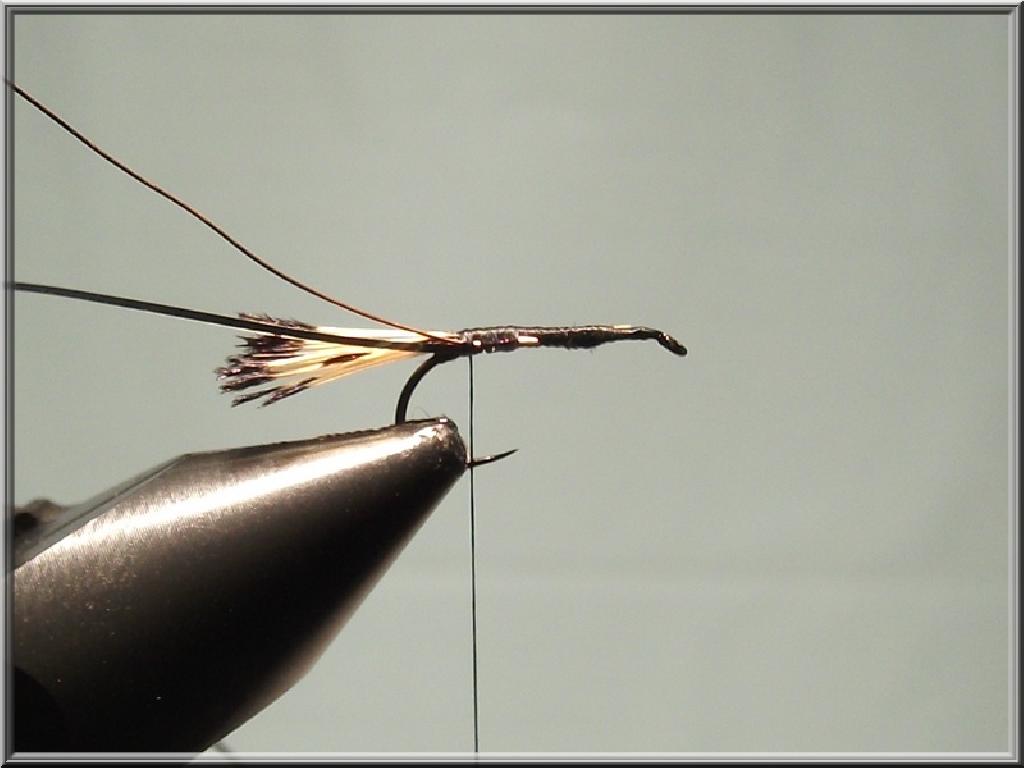 Montage de mouche