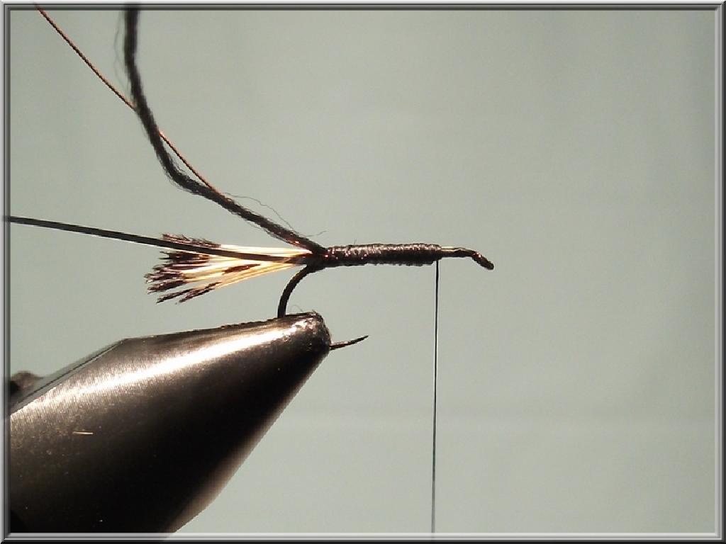 Montage de mouche