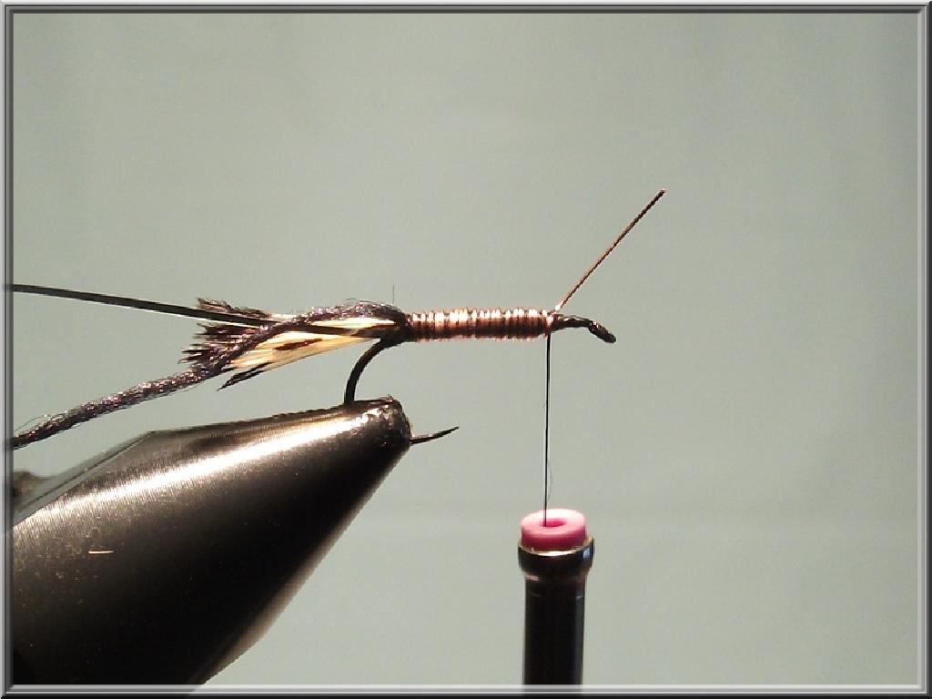 Montage de mouche
