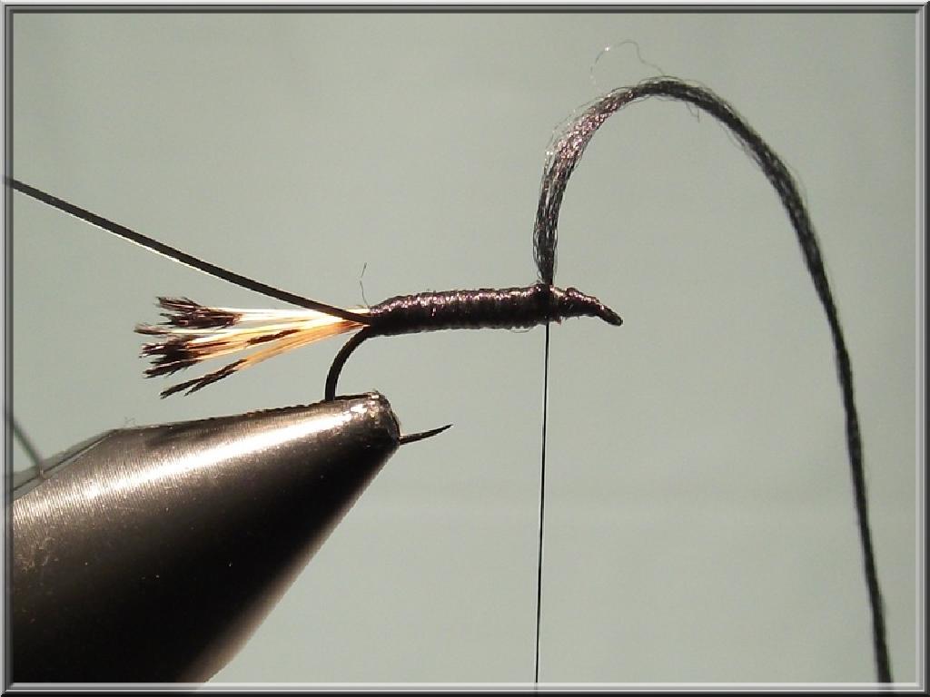 Montage de mouche