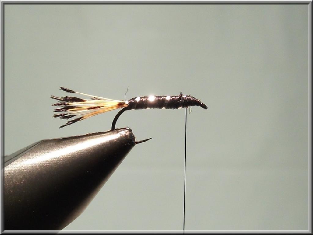 Montage de mouche