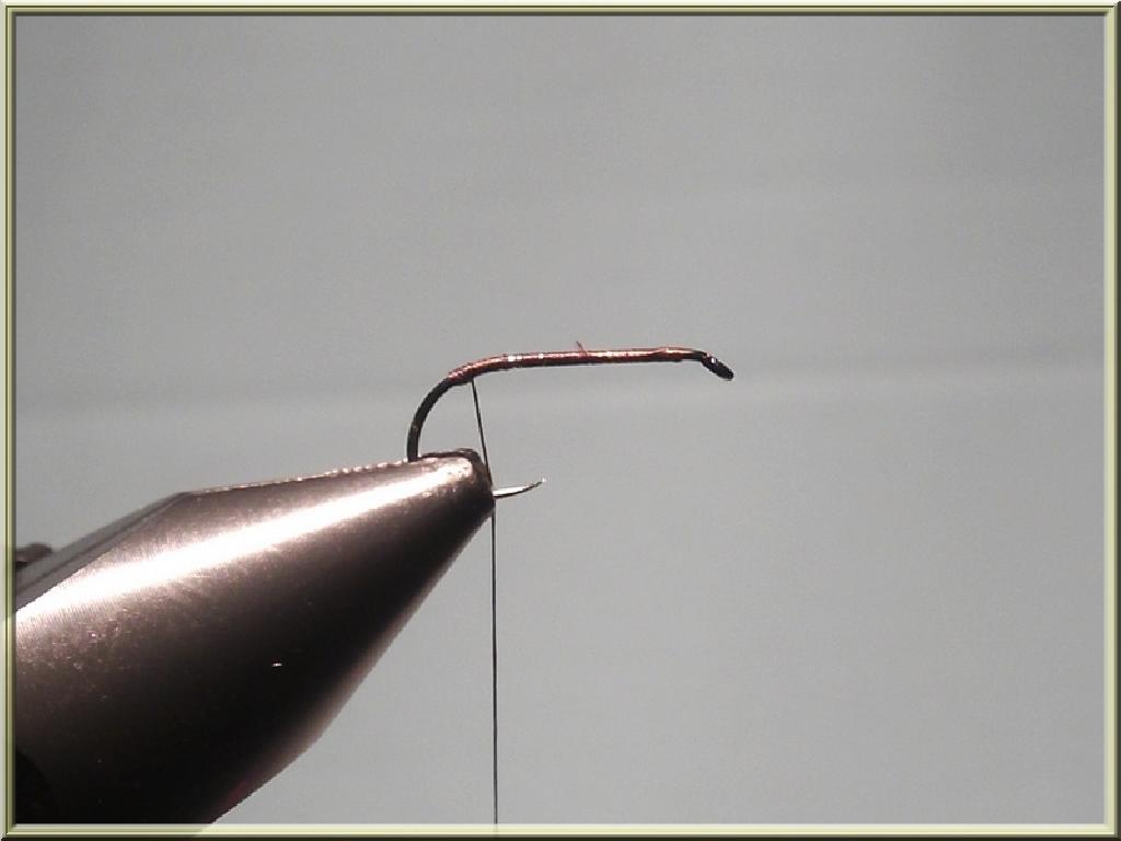 Montage de mouche