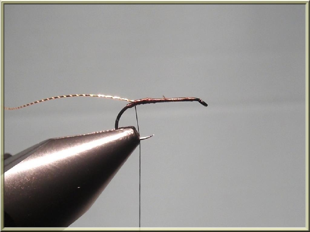 Montage de mouche