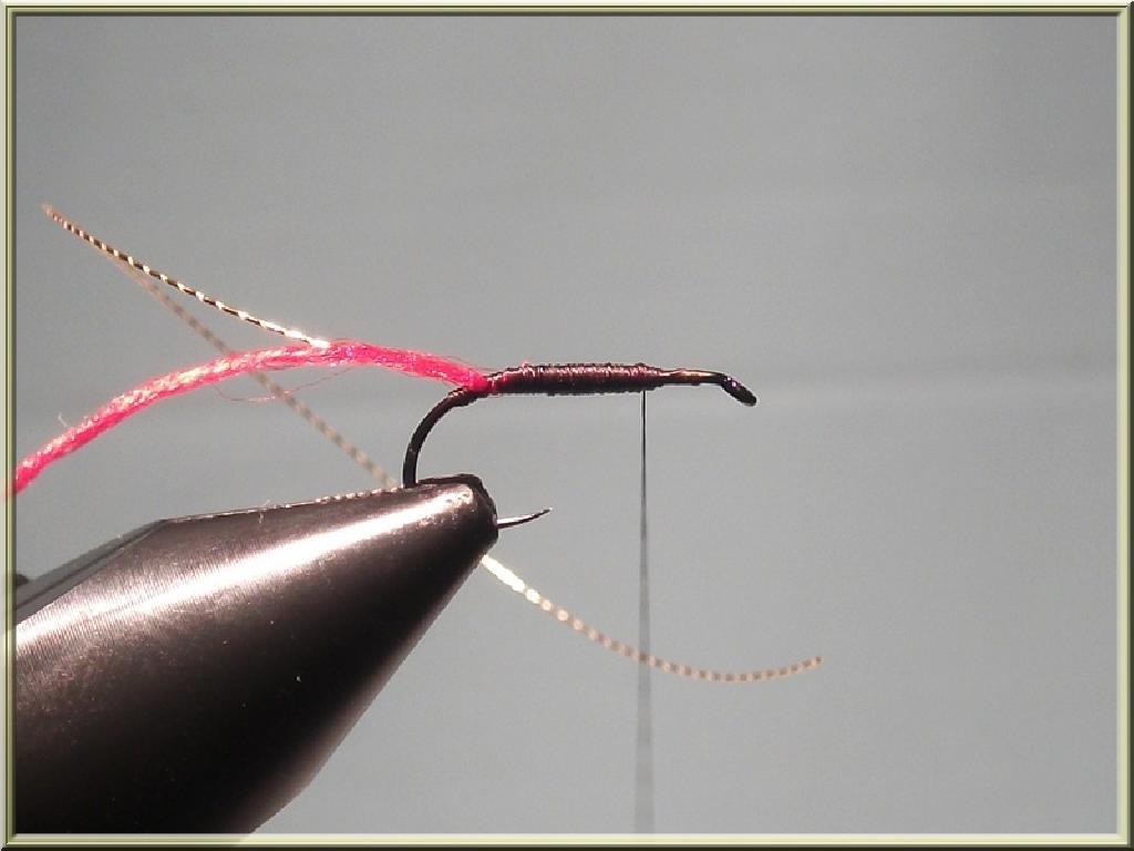 Montage de mouche