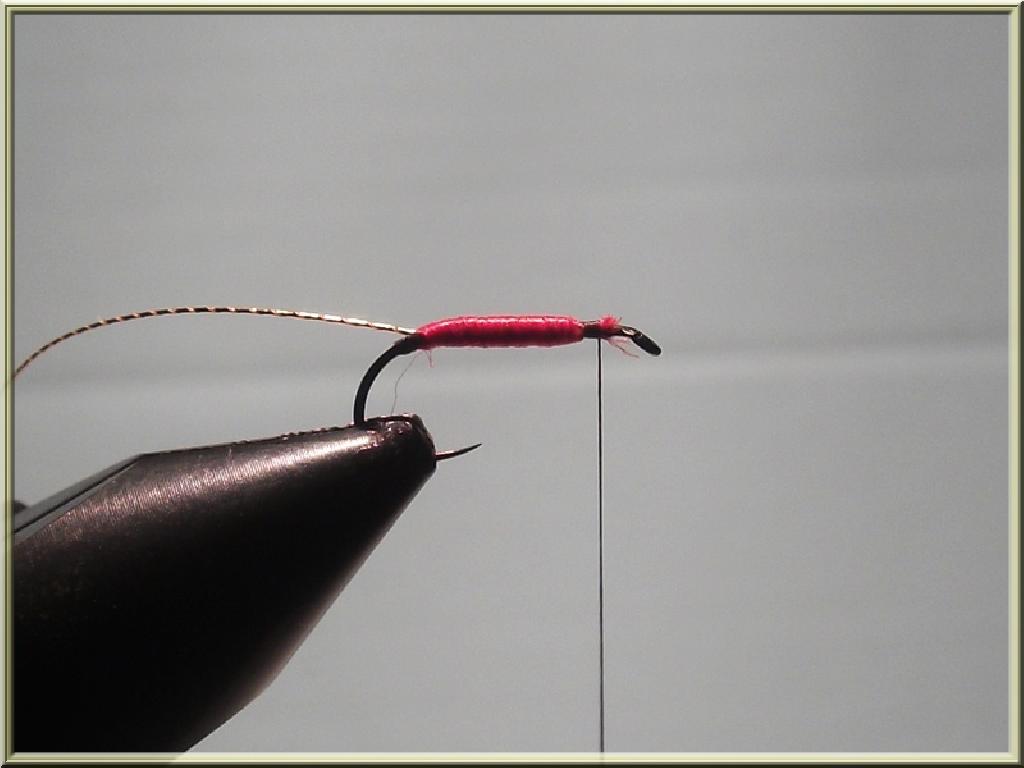 Montage de mouche