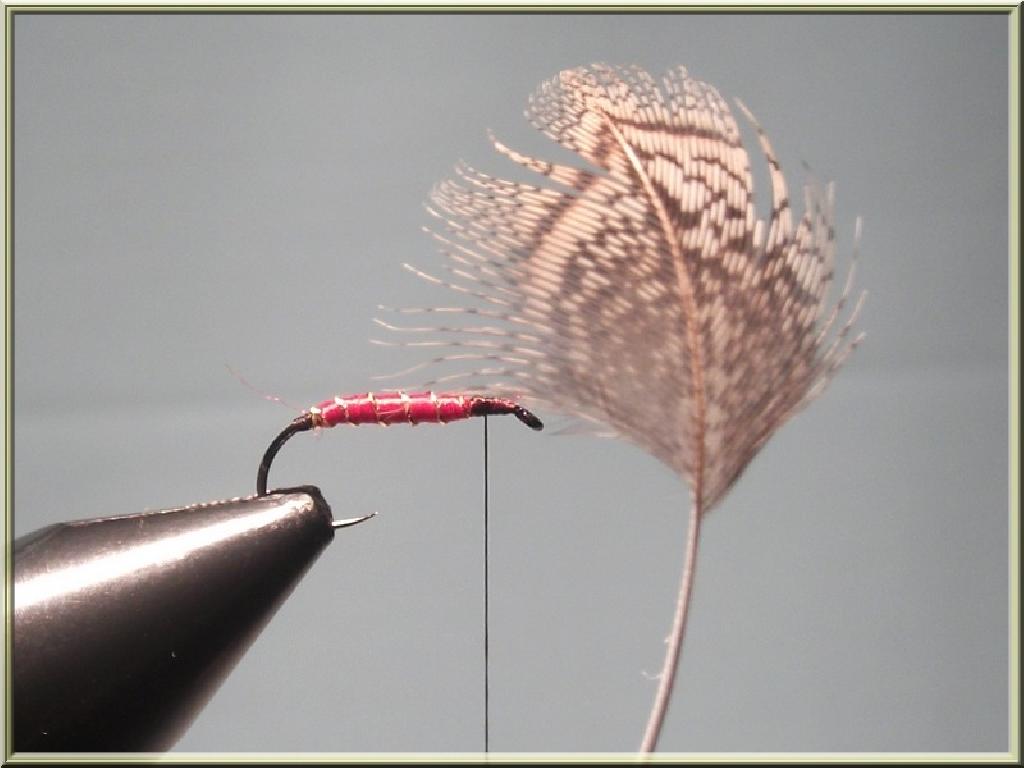 Montage de mouche