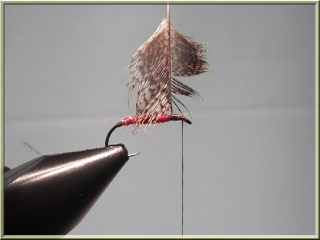 Montage de mouche
