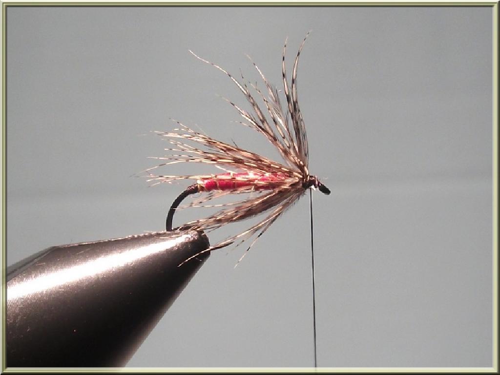 Montage de mouche