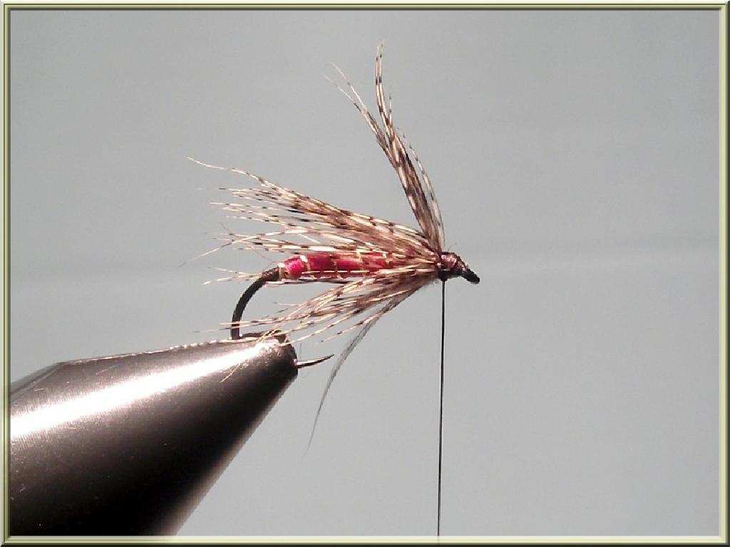 Montage de mouche
