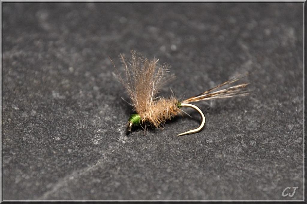 Fiche de montage : CDC Baetis