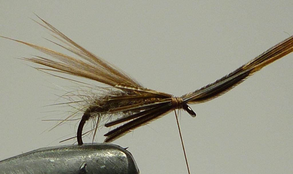 Montage de mouche