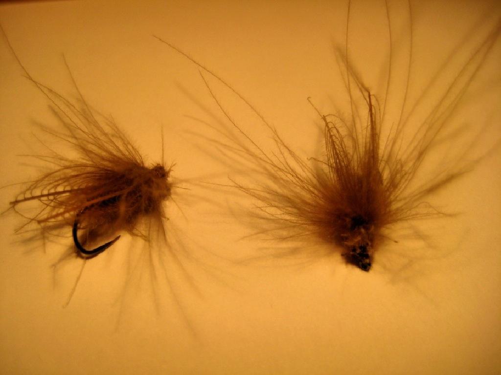 Fiche de montage : Best Caddis
