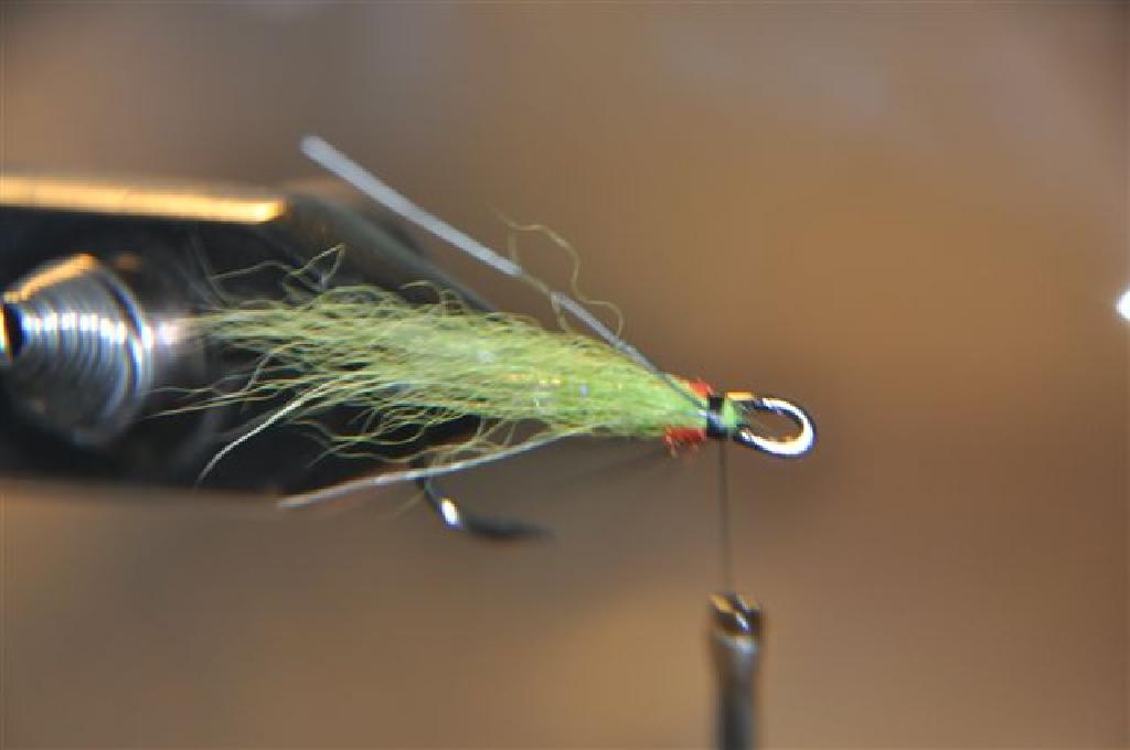 Montage de mouche