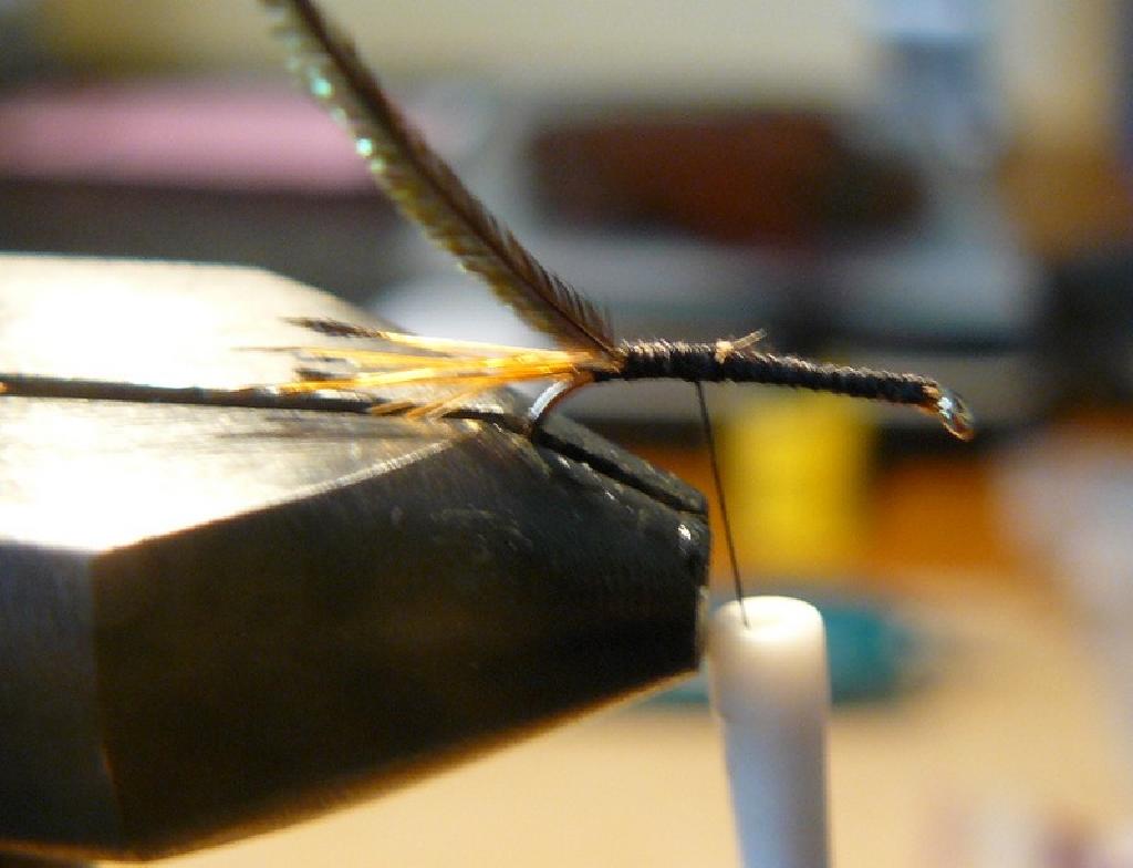 Montage de mouche