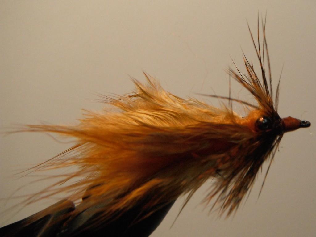 Fiche de montage : Mouche carpe