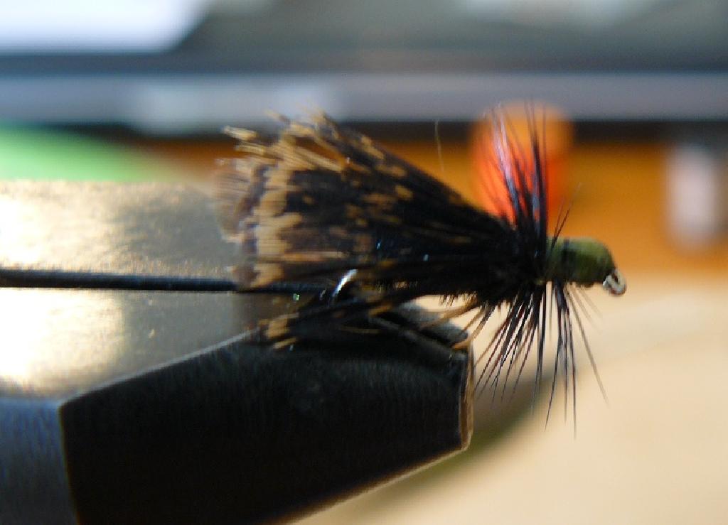 Fiche de montage : Sedge Grouse