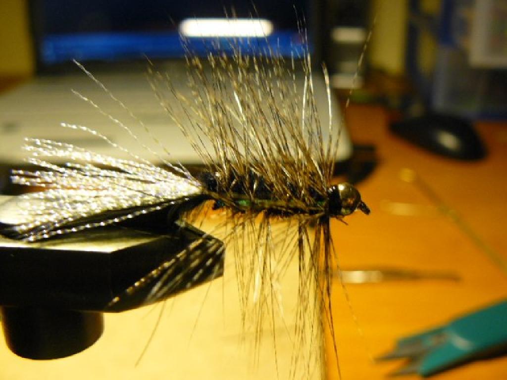 Fiche de montage : Wooly Bugger