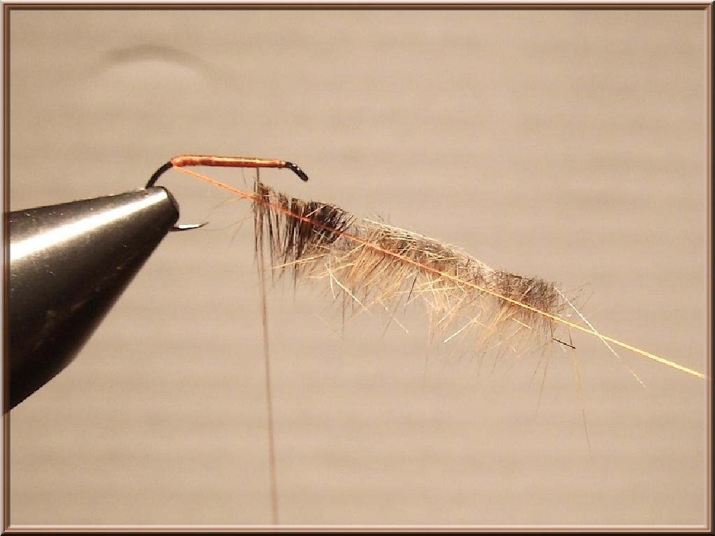 Montage de mouche
