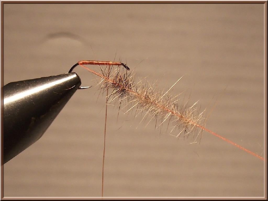 Montage de mouche