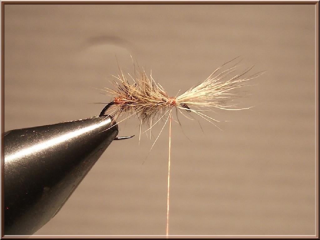 Montage de mouche