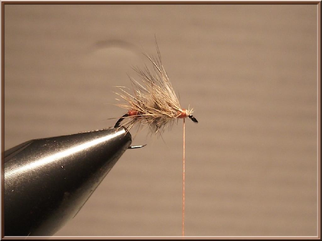 Montage de mouche