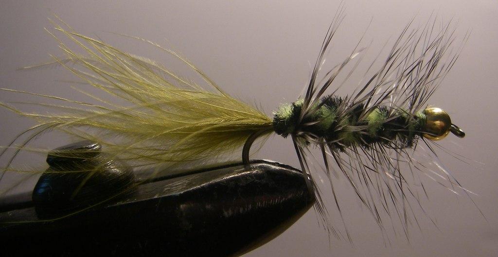 Wooly Bugger Wooly Bugger