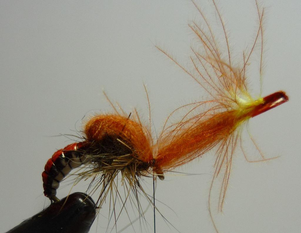 Montage de mouche
