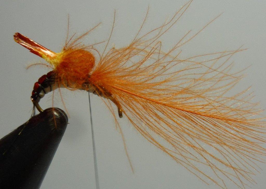 Montage de mouche