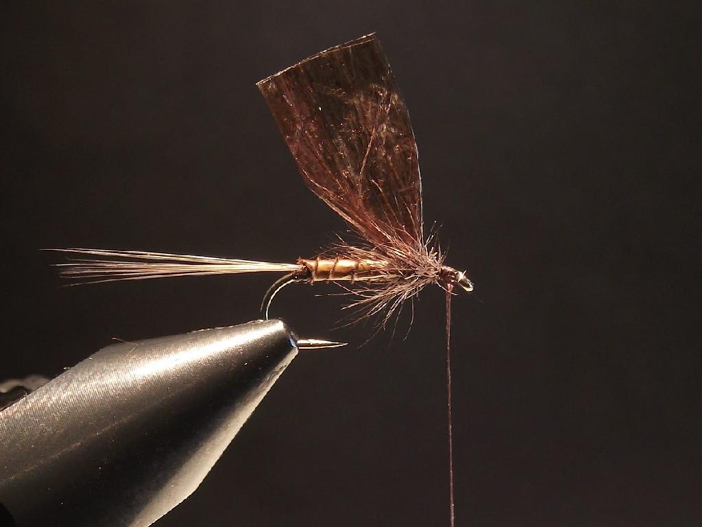 Montage de mouche