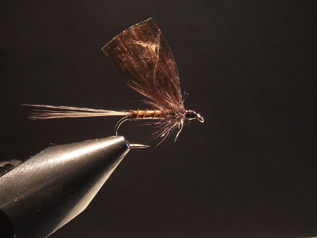 Montage de mouche