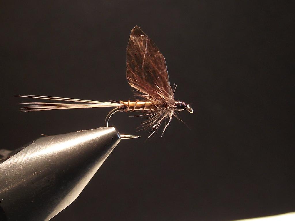 Montage de mouche