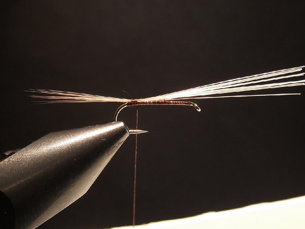 Montage de mouche