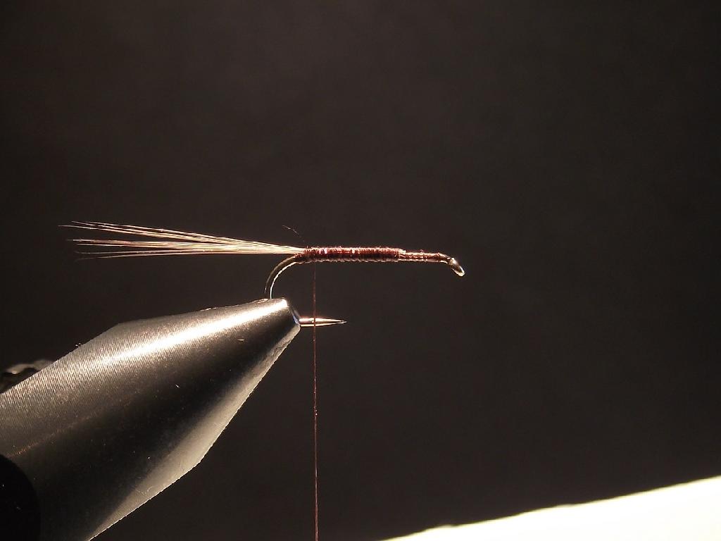 Montage de mouche
