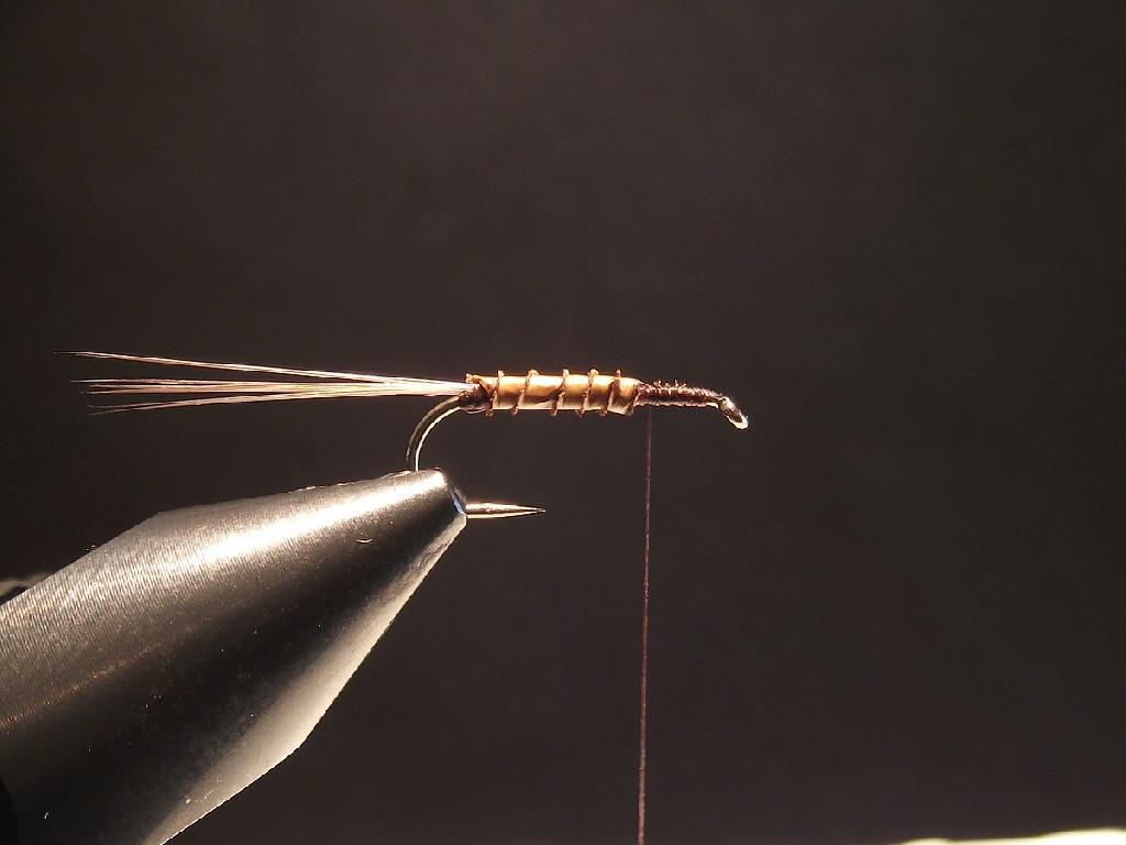Montage de mouche